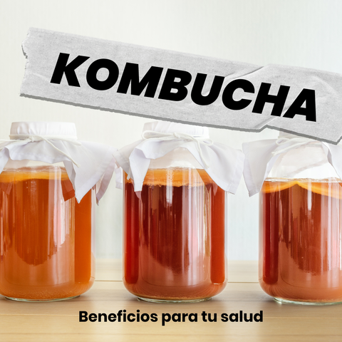 Kombucha no Supermercado: Como Escolher a Melhor Opção?