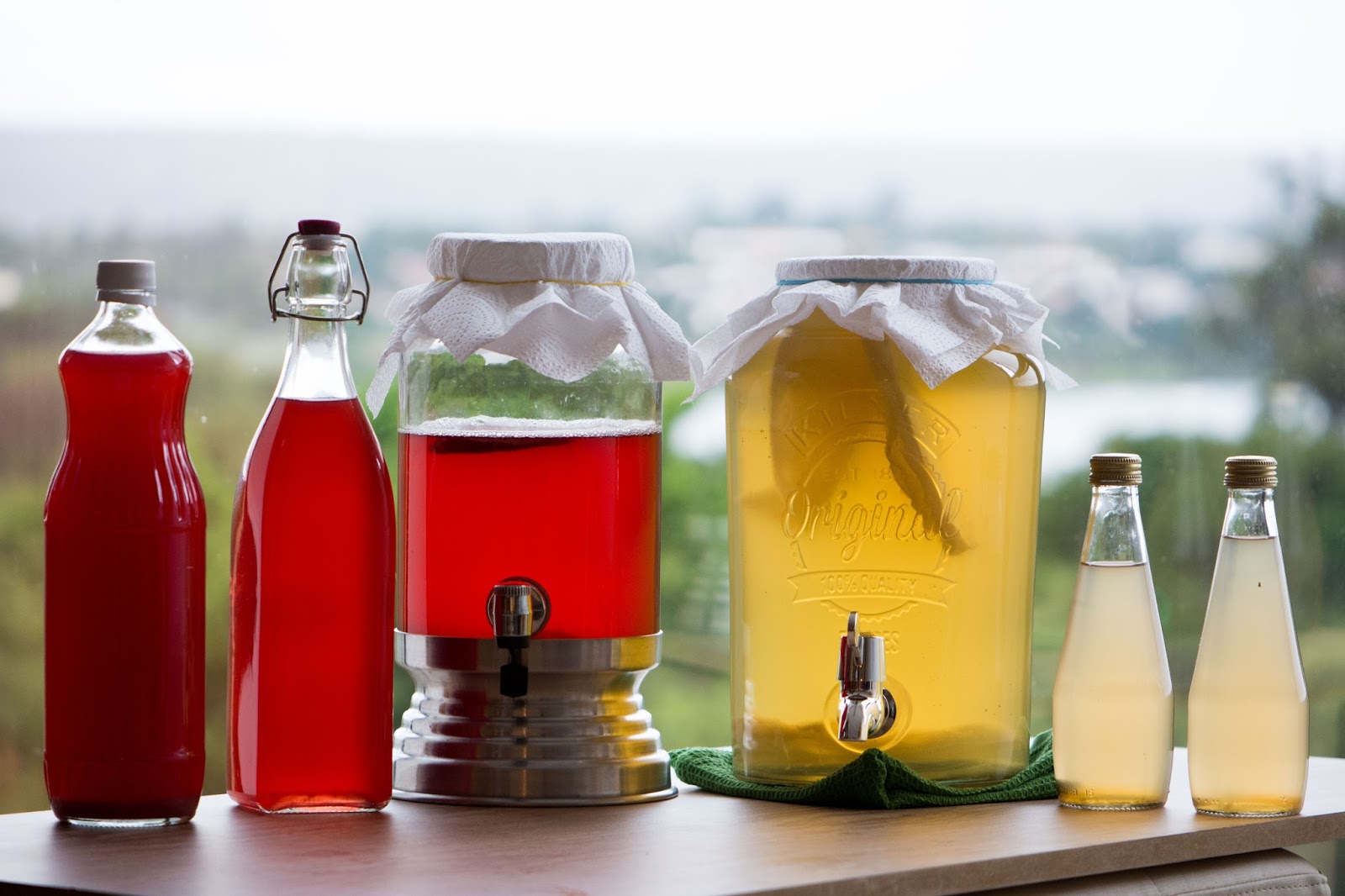 receita de kombucha com SCOBY