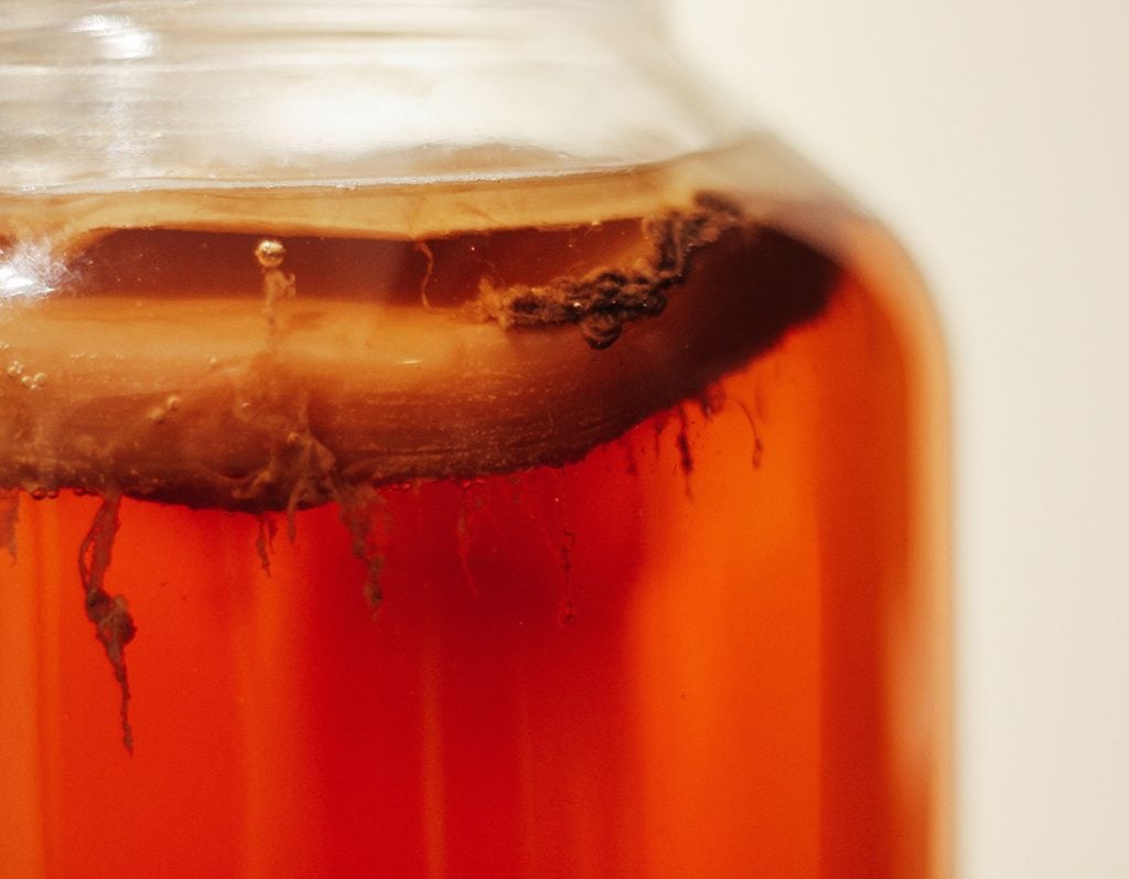 kombuchá como fazer