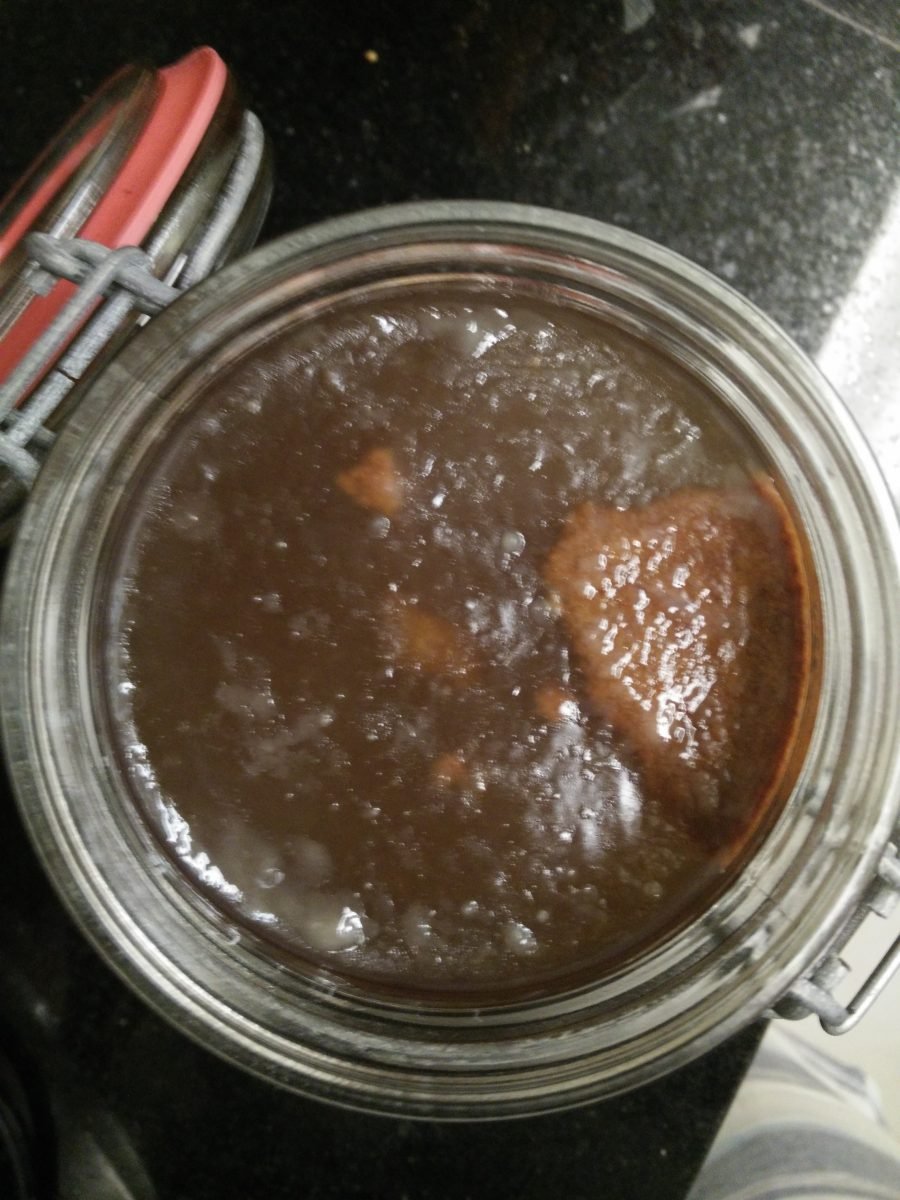 como fazer kombucha em casa passo a passo