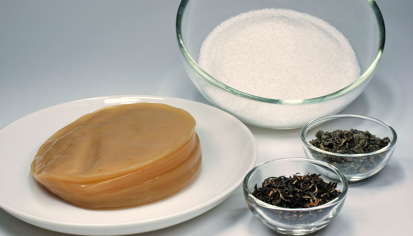 kombuchá como fazer