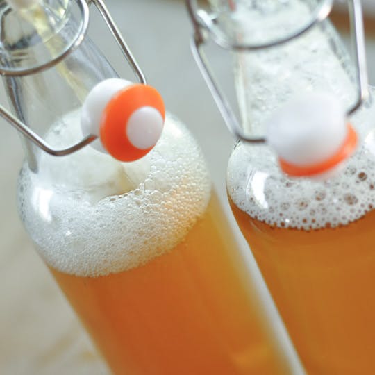 receita de kombucha com SCOBY