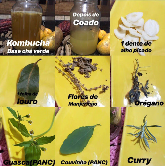 Kombucha e Gravidez: O Que Você Precisa Saber Antes de Consumir