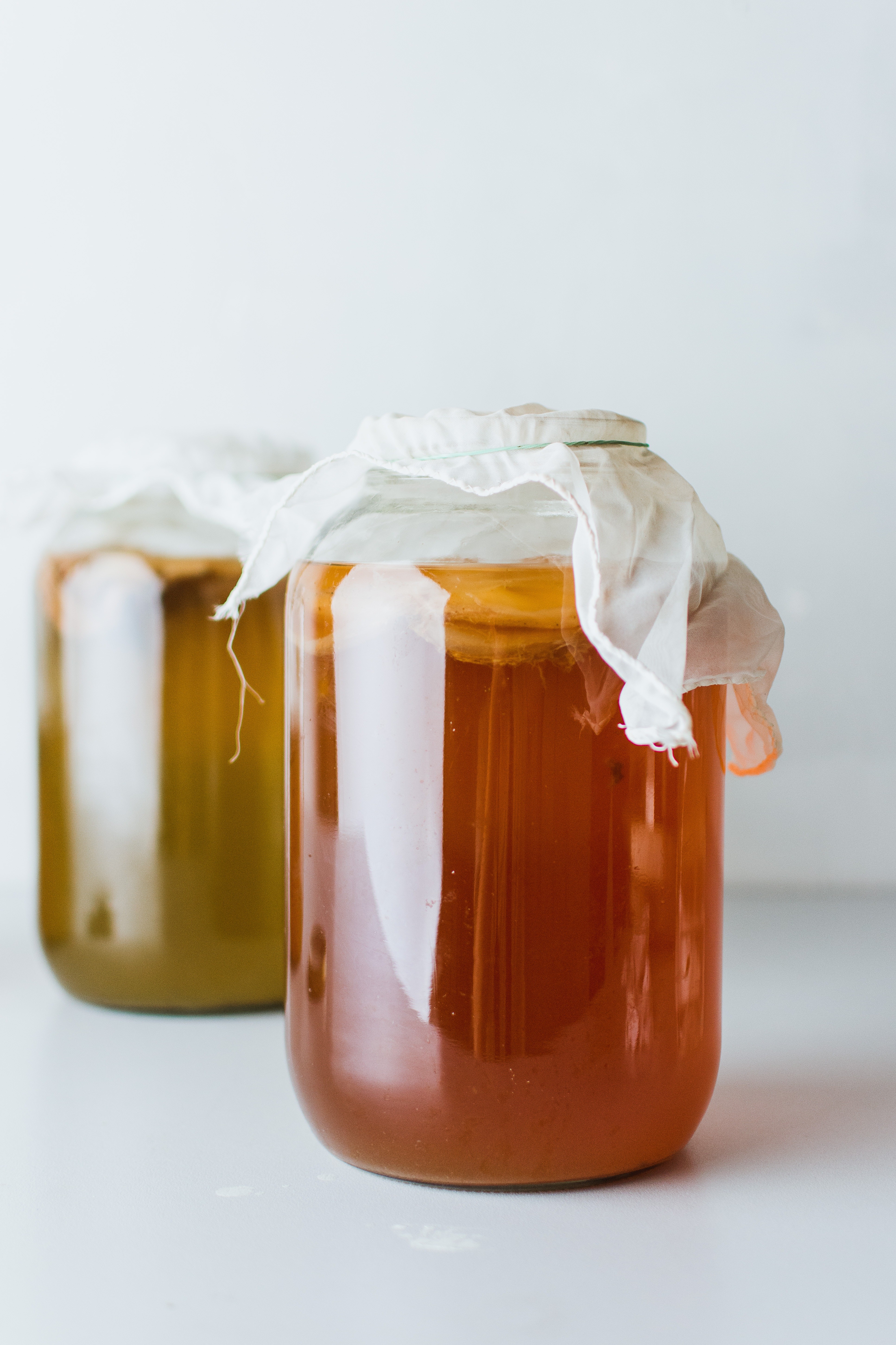 Desvendando o SCOBY: O Coração da Fermentação da Kombucha