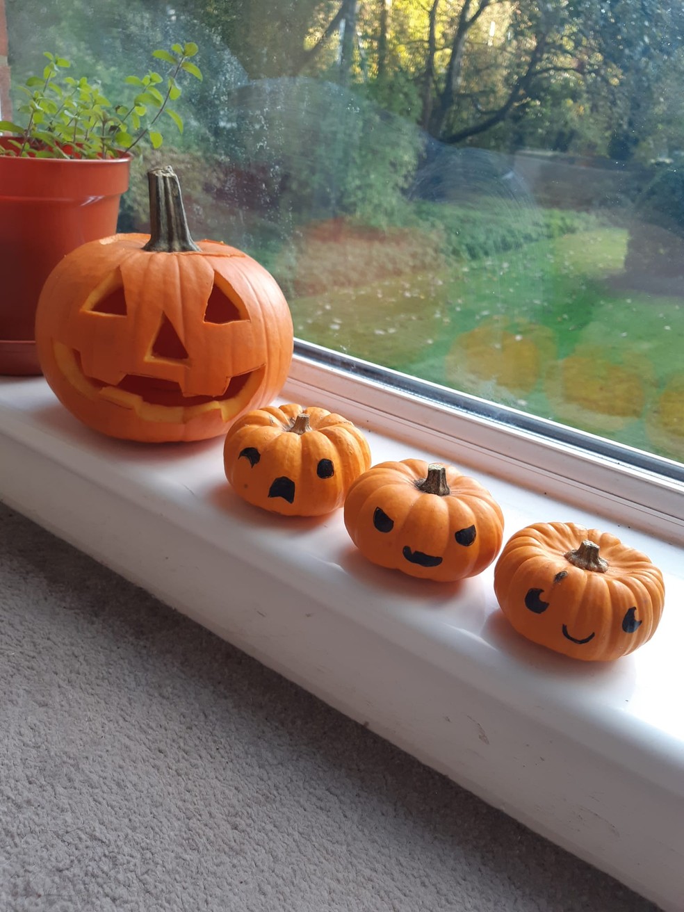 preço lanterna abóbora decorativa