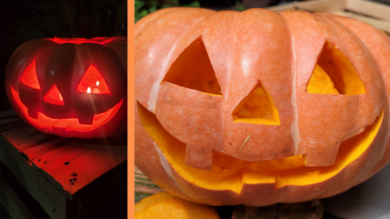 tipos de enfeites de abóbora para halloween