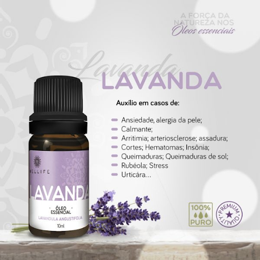 Lavanda Francesa vs. Outras Variedades: Qual a Diferença e Por Que Importa?