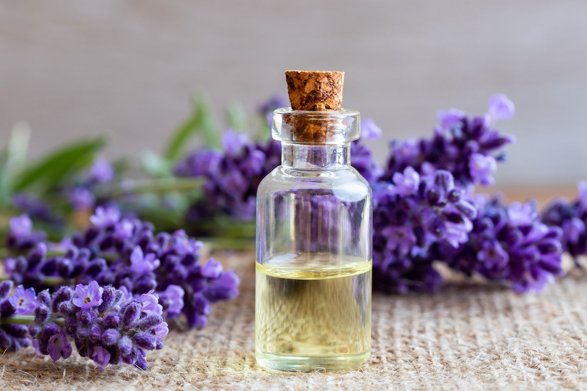 Guia Completo: Como Escolher o Melhor Óleo Essencial de Lavanda para Você