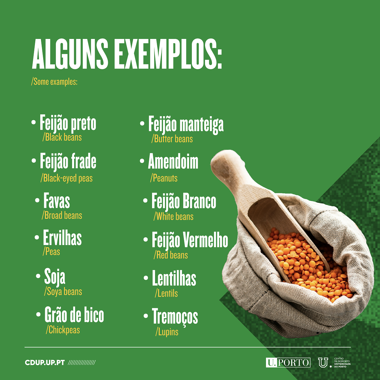 Receitas Fáceis com Leguminosas para o Dia a Dia