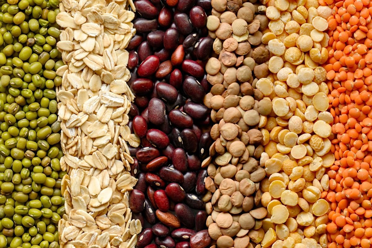 Leguminosas vs. Carne: Qual a Melhor Fonte de Proteína?