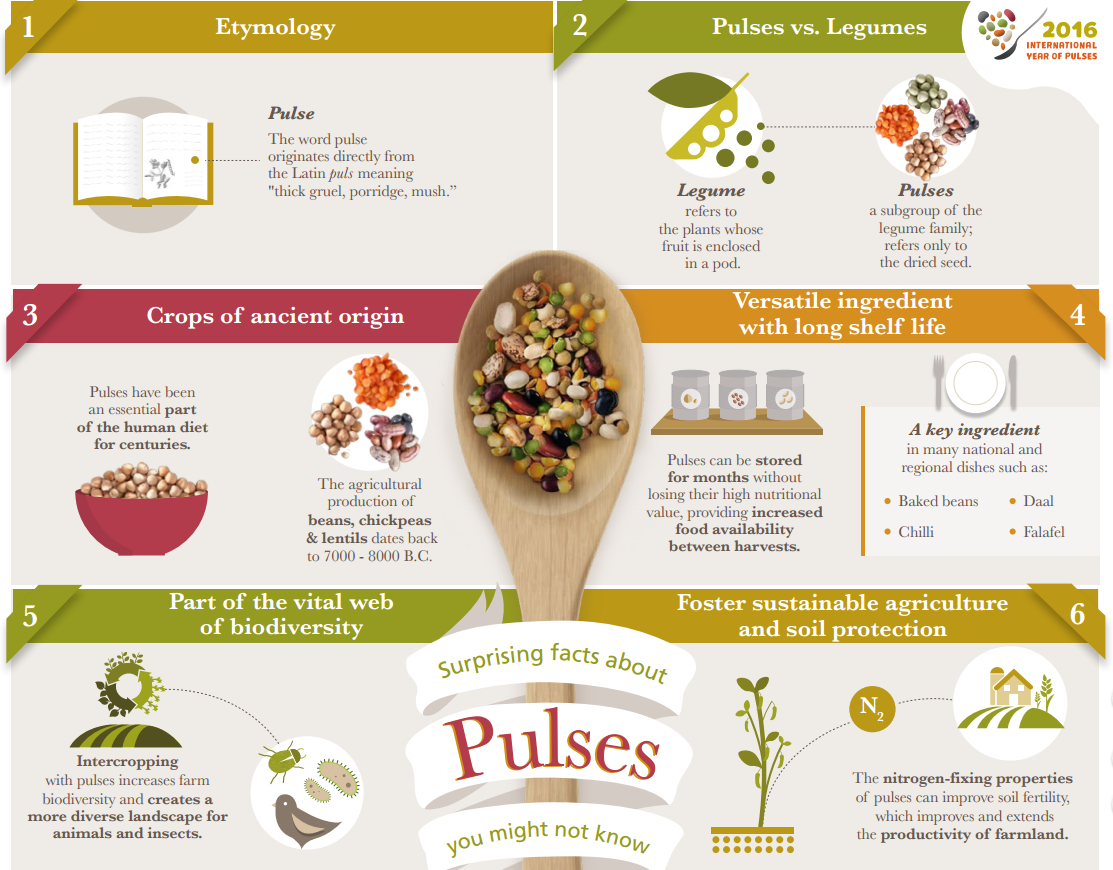Receitas Fáceis com Leguminosas para o Dia a Dia