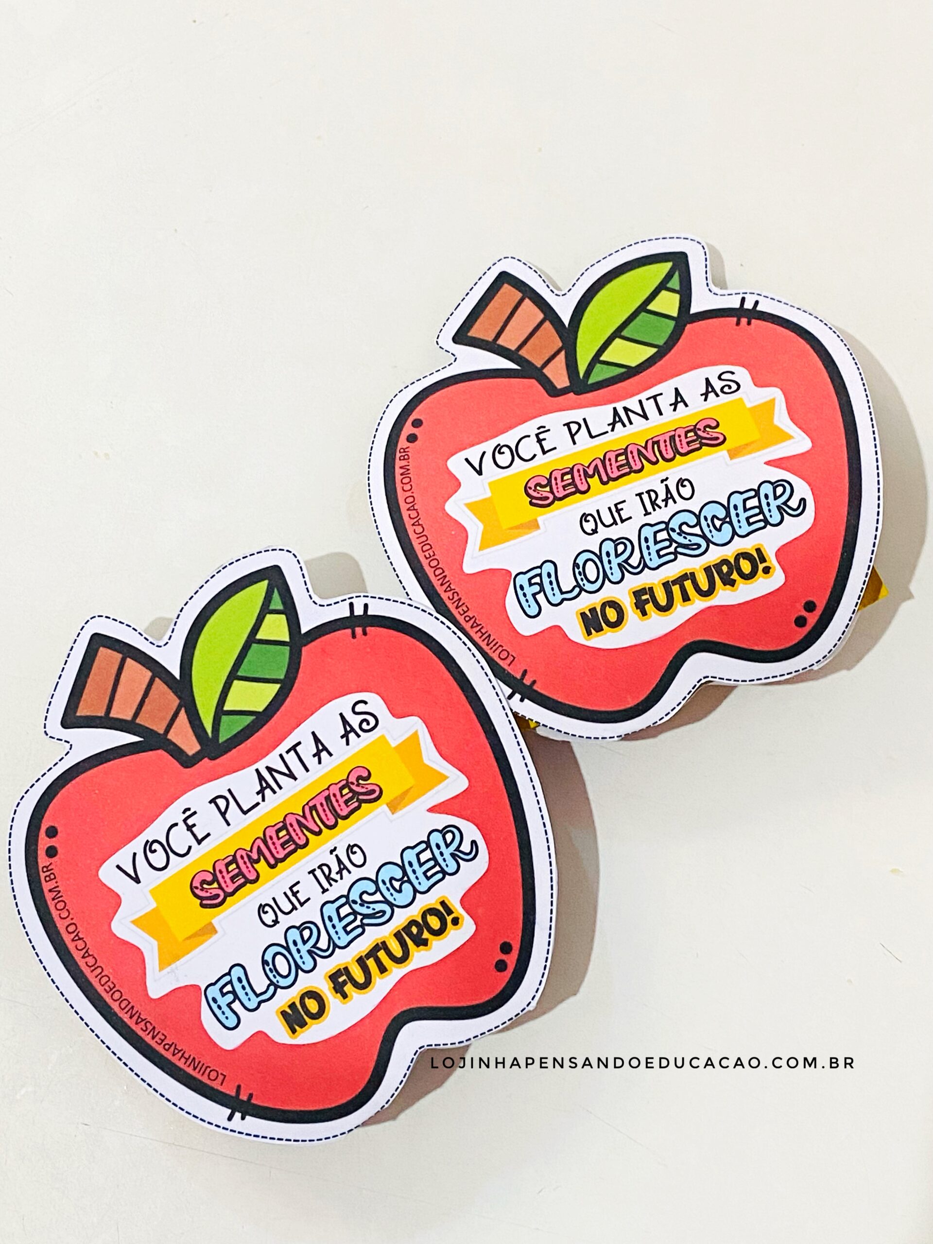 Como Fazer Caderninhos Personalizados para o Dia do Professor