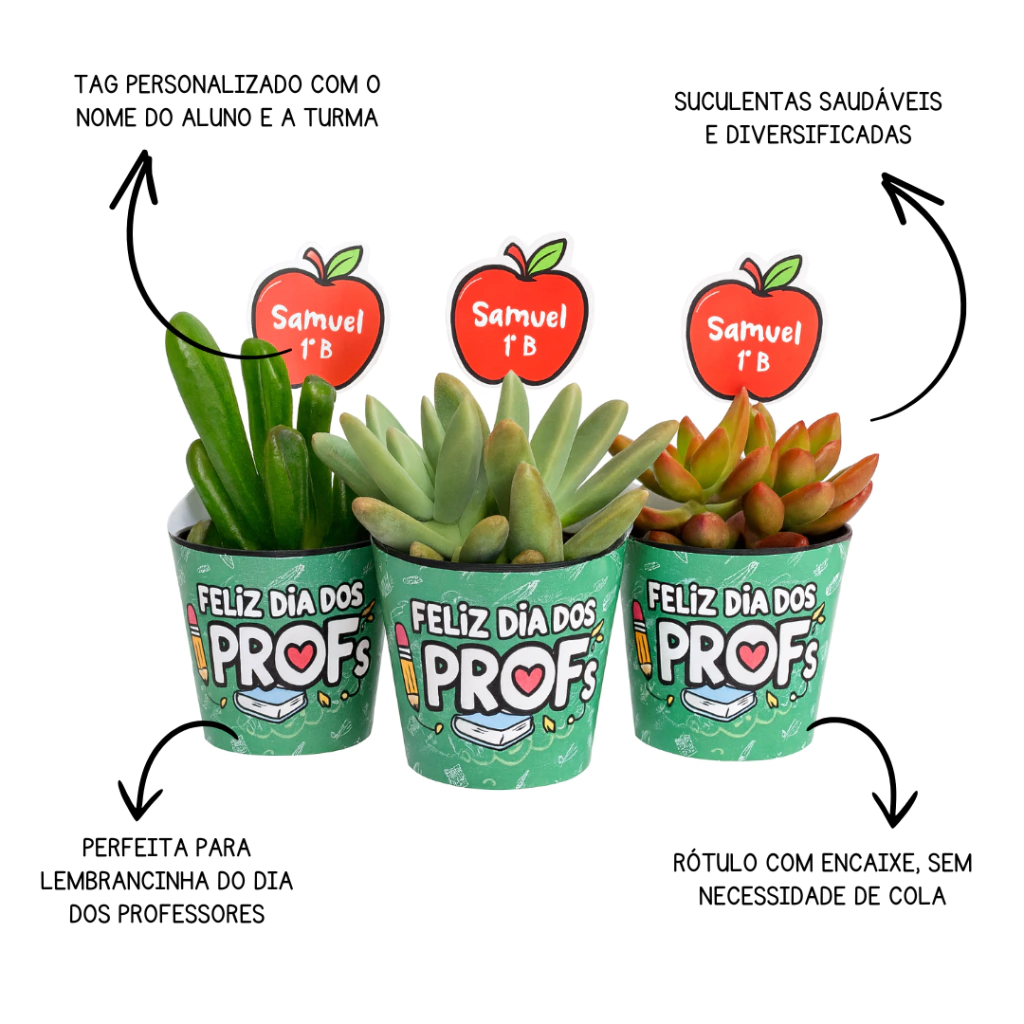 Sugestões de plantas e ecobags como presentes para professores