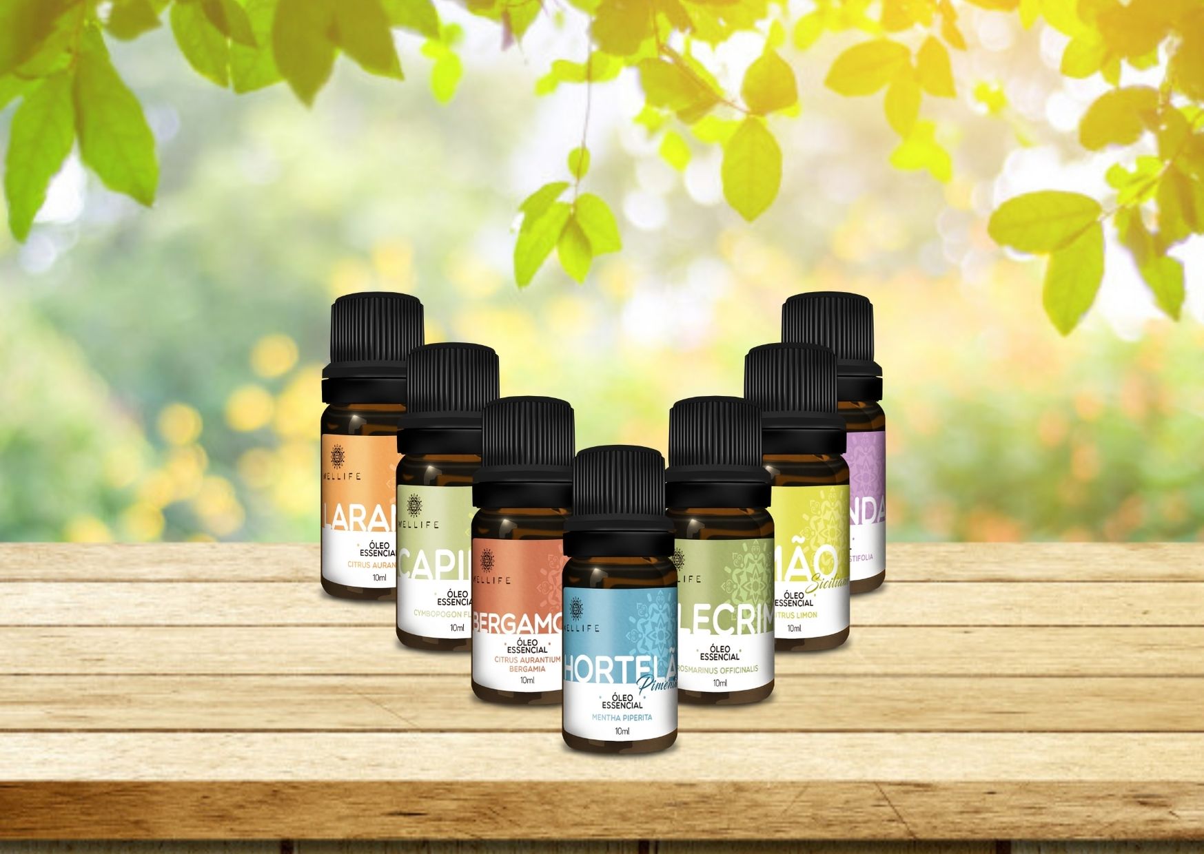 Óleos Essenciais para Iniciantes: Guia Completo de Uso e Benefícios