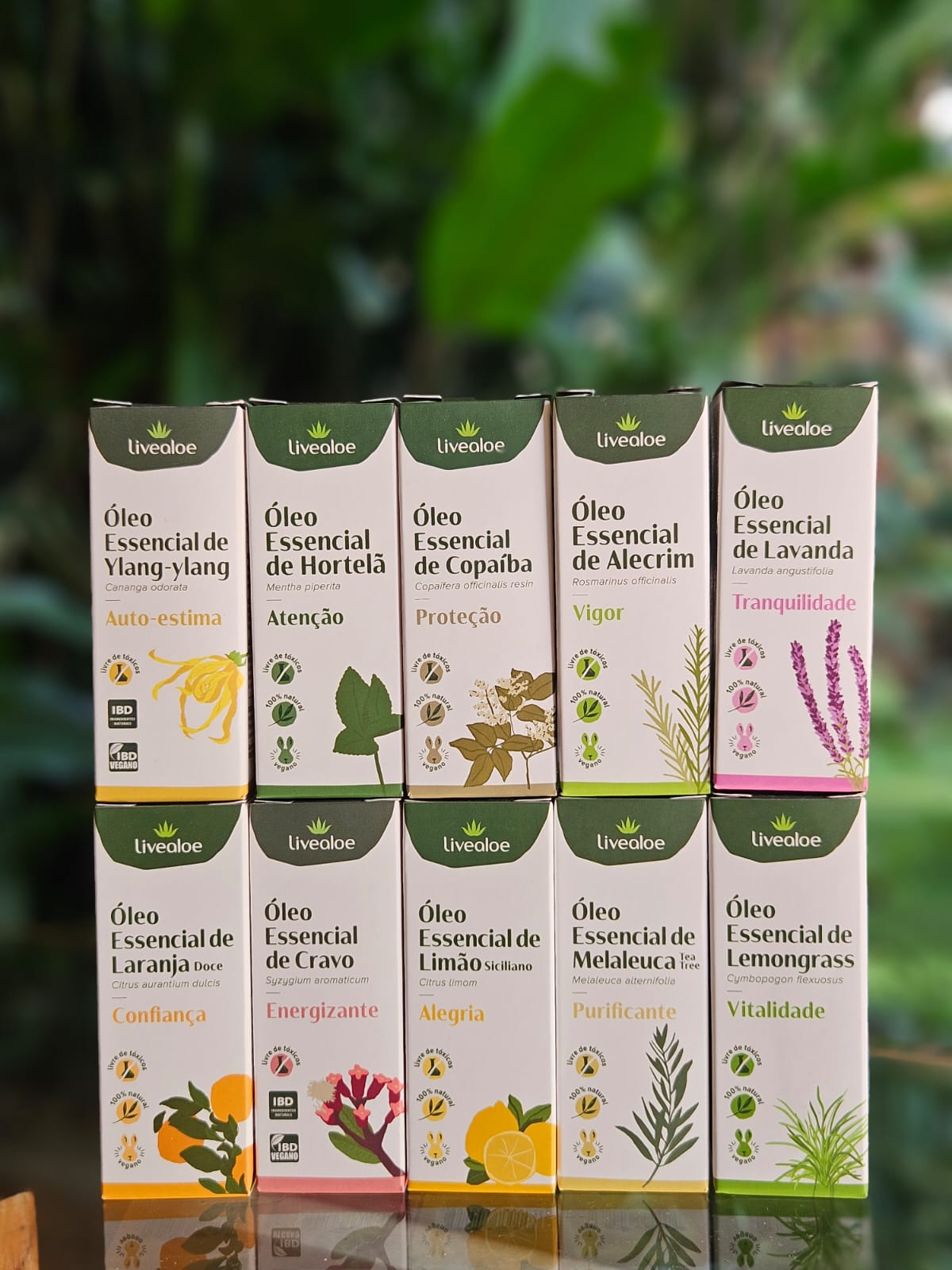 Segurança na Aromaterapia: Precauções Essenciais ao Usar Óleos