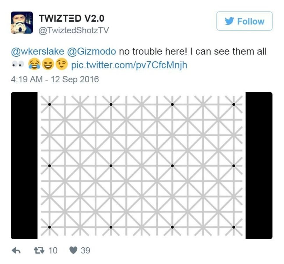 listras verticais a historia surpreendente por tras da ilusao de otica com dados cientificos