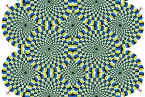 A Ilusão de Helmholtz explicada: por que as listras enganam nossos olhos?