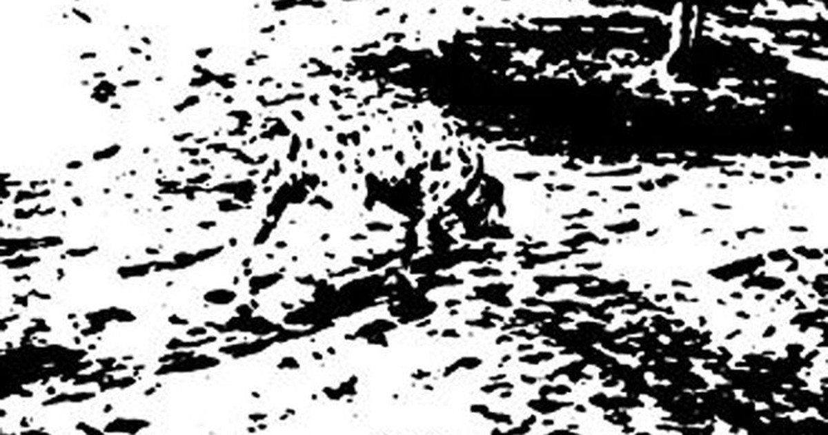 A história completa da camisa listrada: de uniforme a ícone fashion