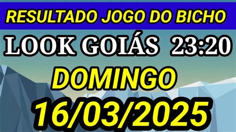 Além do Futebol: O Que Esperar do MotoGP 2026 em Goiânia e o Programa Goiás Social