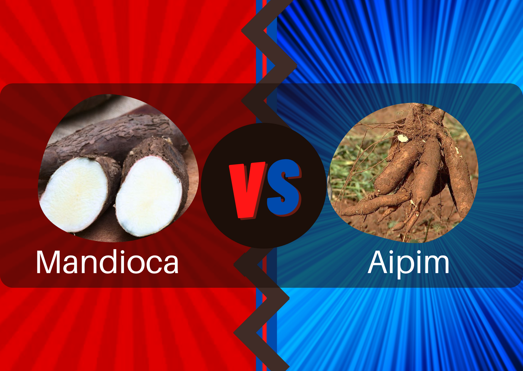 Mandioca na Indústria: Da Farinha ao Polvilho