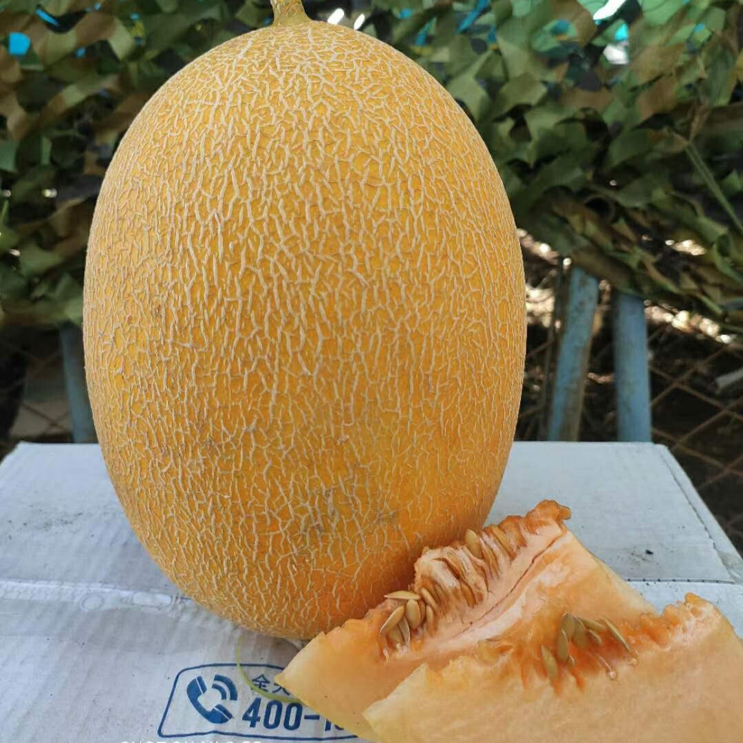 benefícios do melão para pele