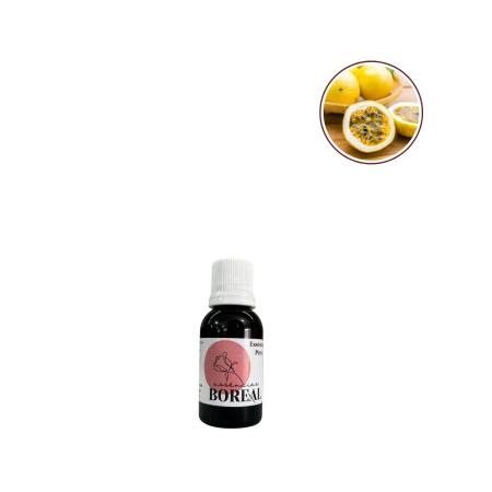 Onde Comprar Essências para Velas: Melhores Lojas e Fornecedores no Brasil