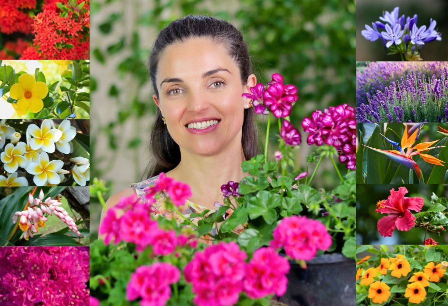 Como Adubar Suas Flores para uma Floração Abundante
