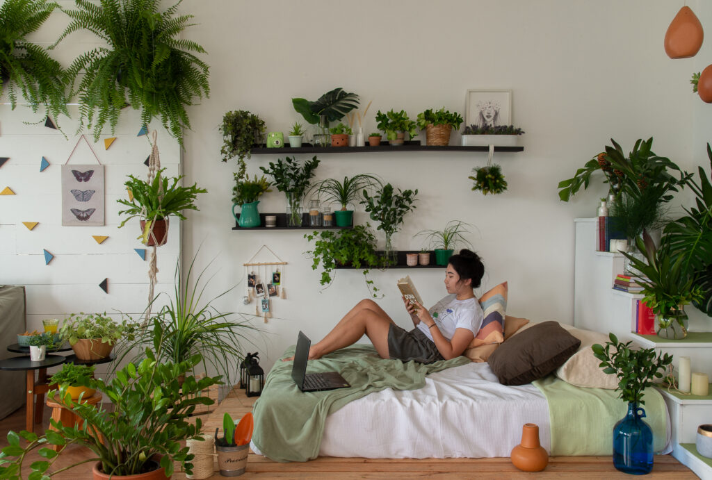 plantas bonitas para apartamento pequeno
