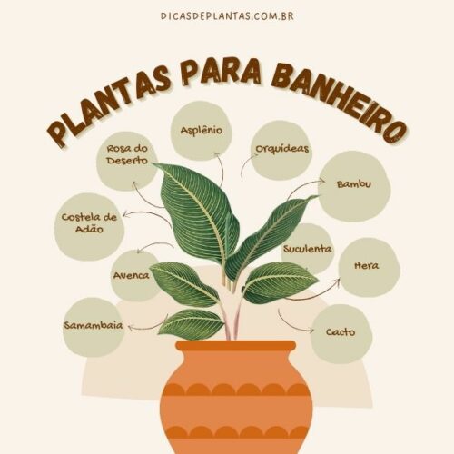 porque minha planta morre no banheiro sem janela