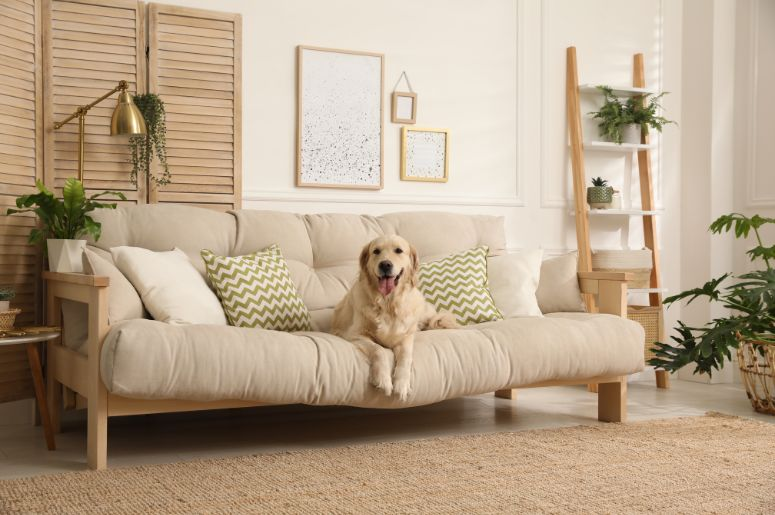 5 Tecidos Incríveis para Sofás de Casas com Gatos