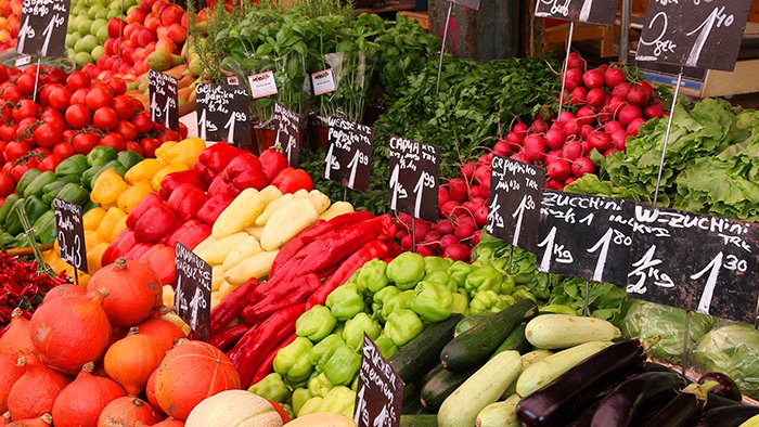 comprar queijo direto do produtor online