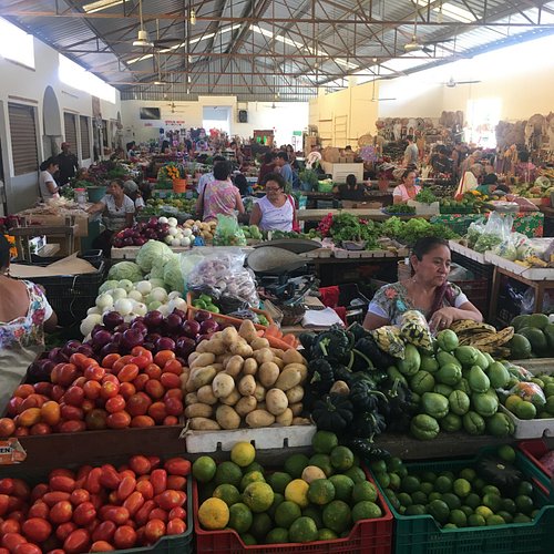 feiras de produtores em Mato Grosso