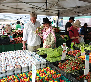 comprar queijo direto do produtor online