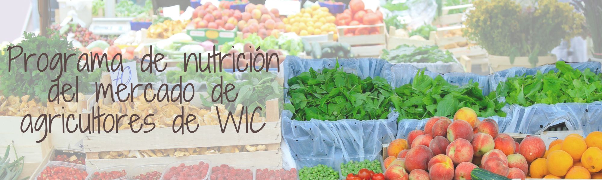 benefícios de comprar em feiras livres