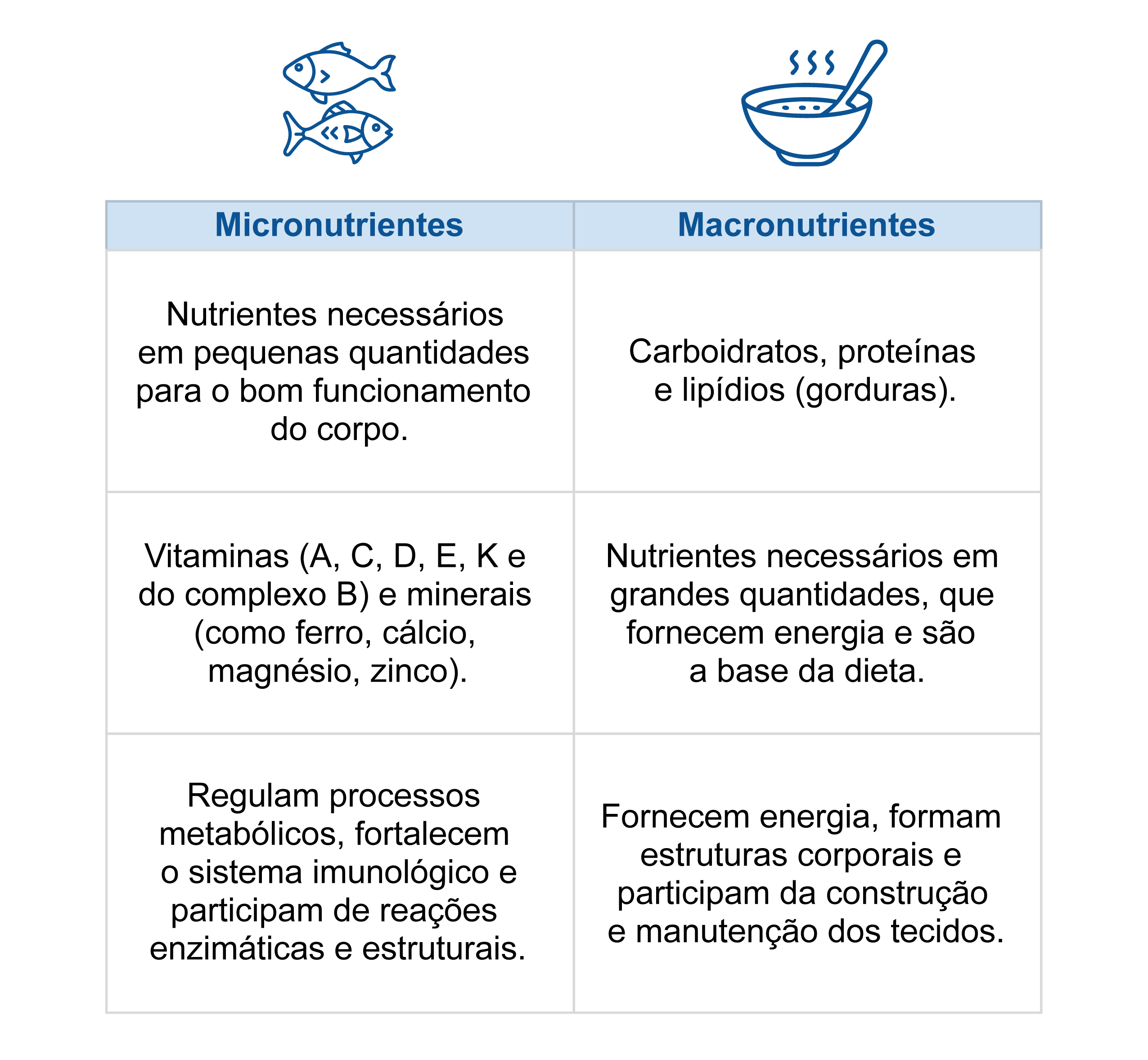 micronutrientes