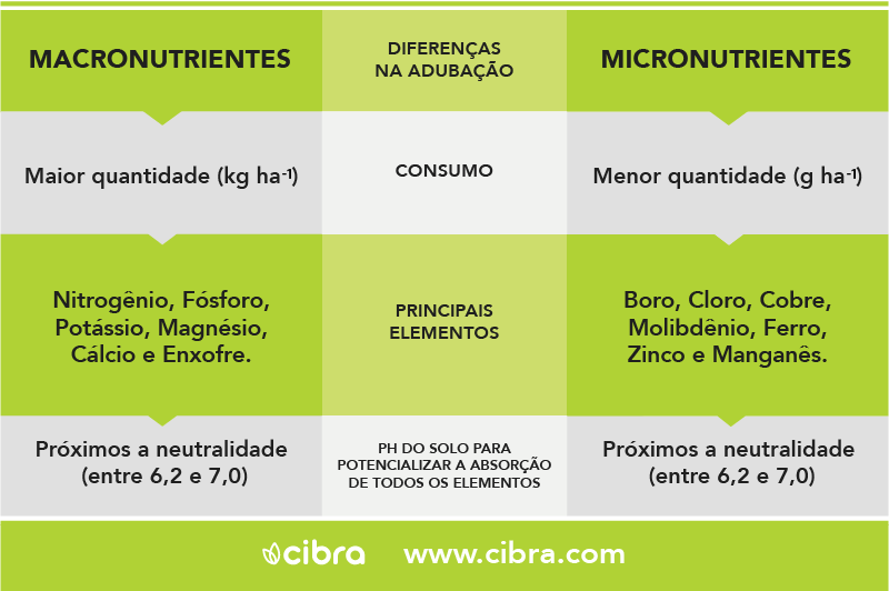 Guia Completo: Entenda os Micronutrientes Essenciais para o Corpo; Vitaminas e Minerais: O Papel Crucial na Sua Saúde; Como a Deficiência de Micronutrientes Afeta Seu Organismo; Micronutrientes na Agricultura: Maximizando a Produtividade; Dieta e Micronutrientes: Estratégias para uma Nutrição Completa