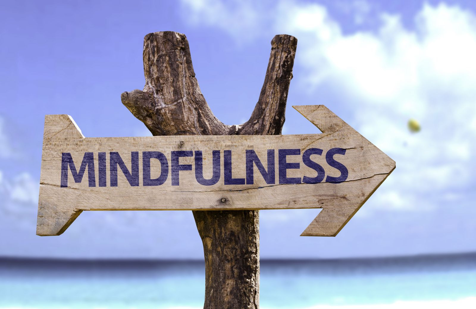 benefícios do mindfulness
