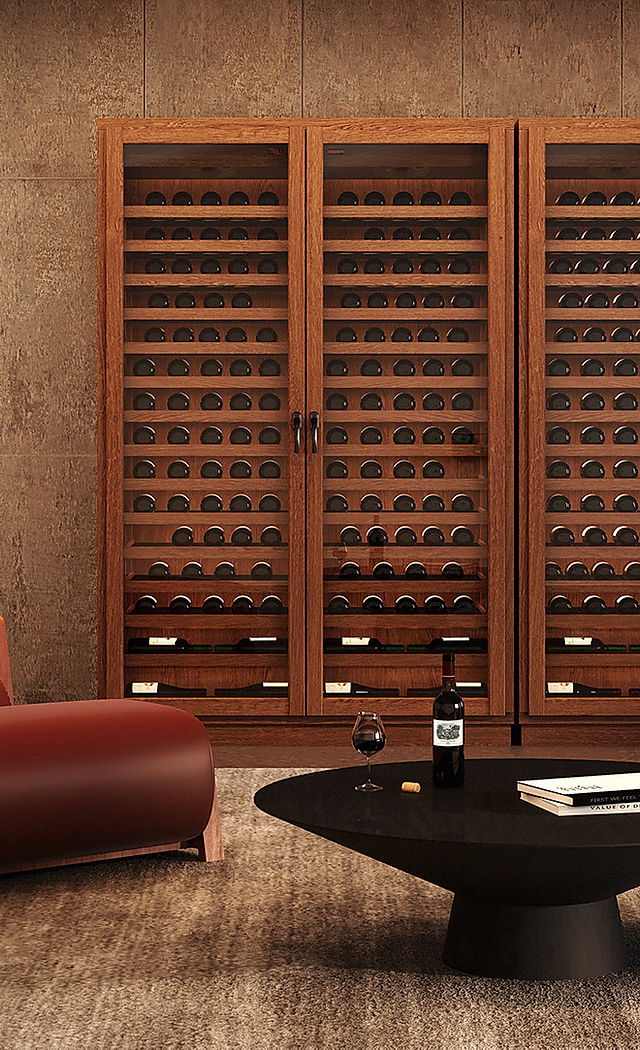 tipos de adegas para conservação de vinhos