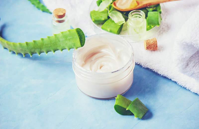 Os Benefícios da Babosa no Cabelo: Receitas e Dicas de Uso