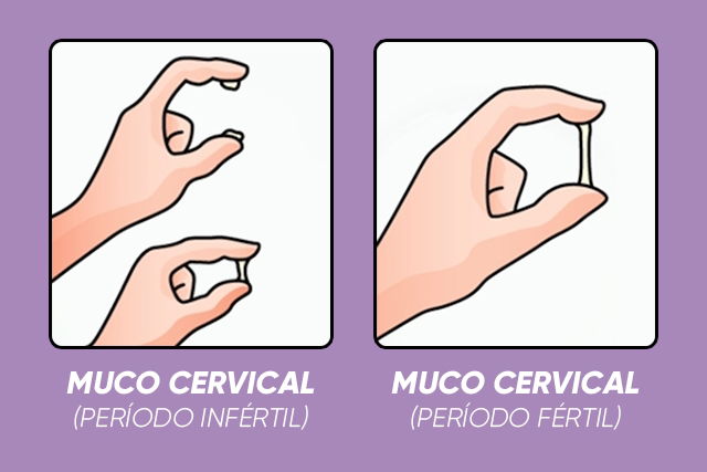 muco cervical