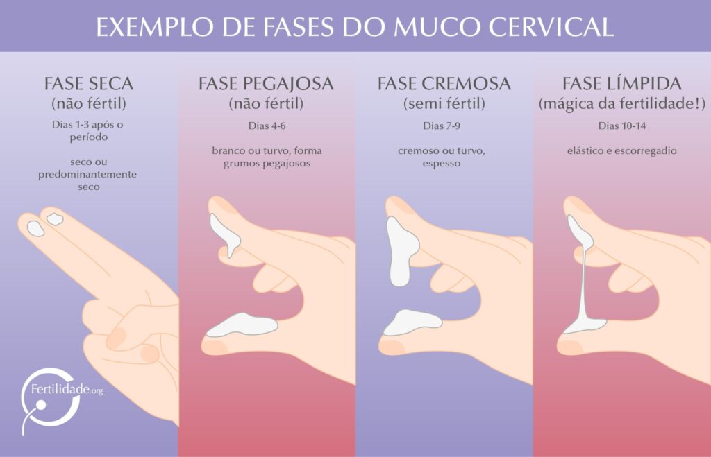 muco cervical