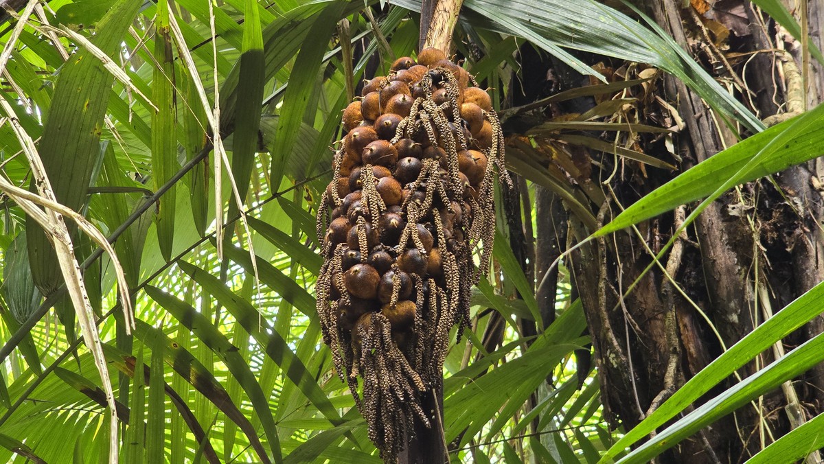 Resenha completa: Máscara Murumuru Haskell vale a pena?