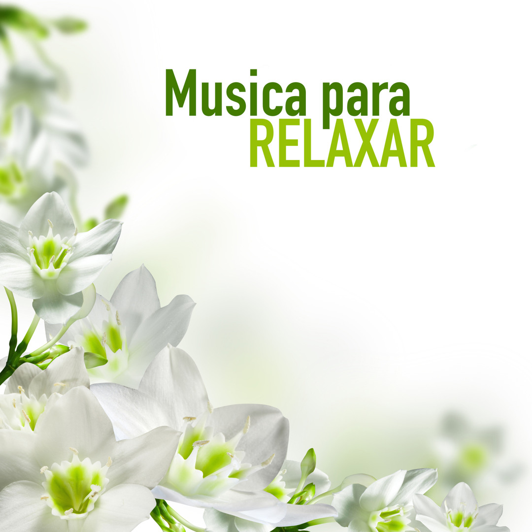 melhores playlists para meditar