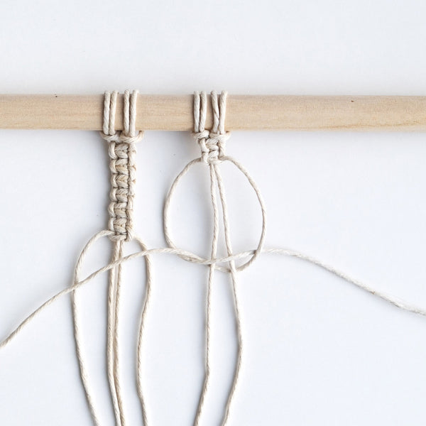 Aplicações Criativas do Nó Festonê: De Painéis a Suportes de Plantas