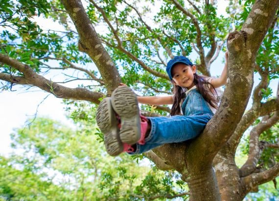 Como o Contato com a Natureza Fortalece o Sistema Imunológico Infantil