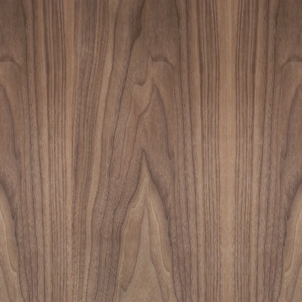 História e Figuras Notáveis