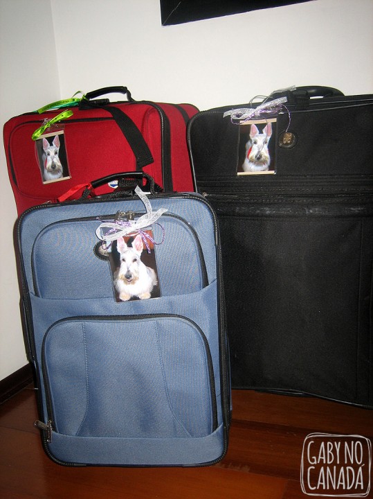 o que colocar na mala para o canada vidaemto