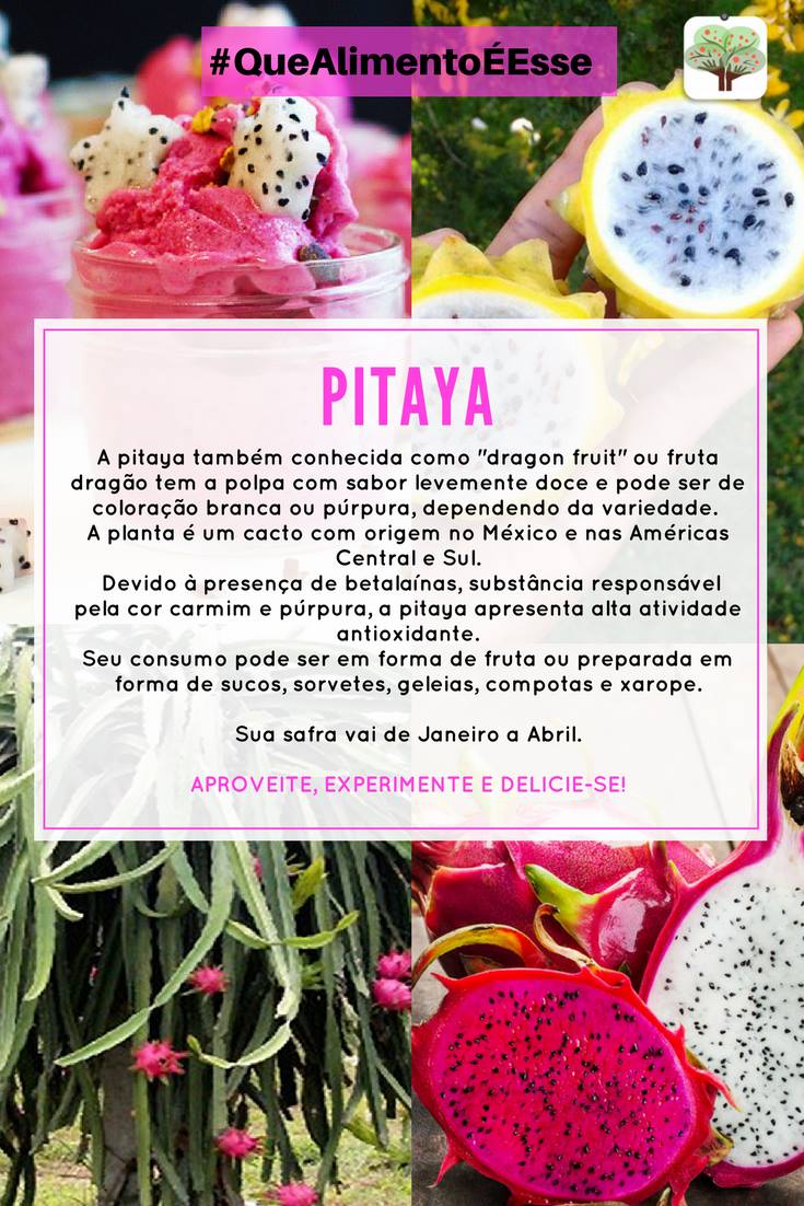Pitaya vs. Outras Frutas Tropicais: Uma Análise Nutricional Comparativa