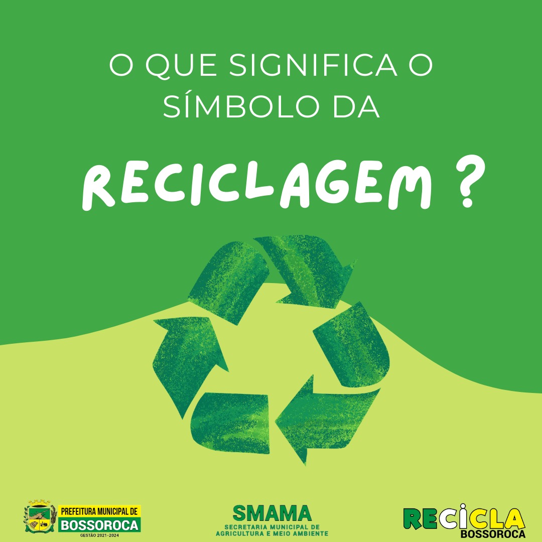 Além do Lixo: Como a Reciclagem Gera Renda e Empregos na Economia Circular