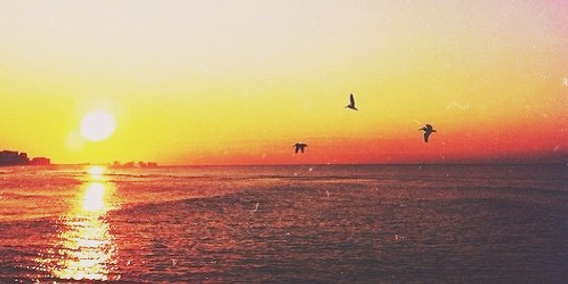 Como fotografar o pôr do sol com seu celular: Guia completo